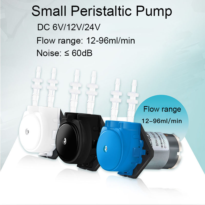 Piccola Pompa Peristaltica DC  - Mini Peristaltic Pump 12V recensione e prezzo